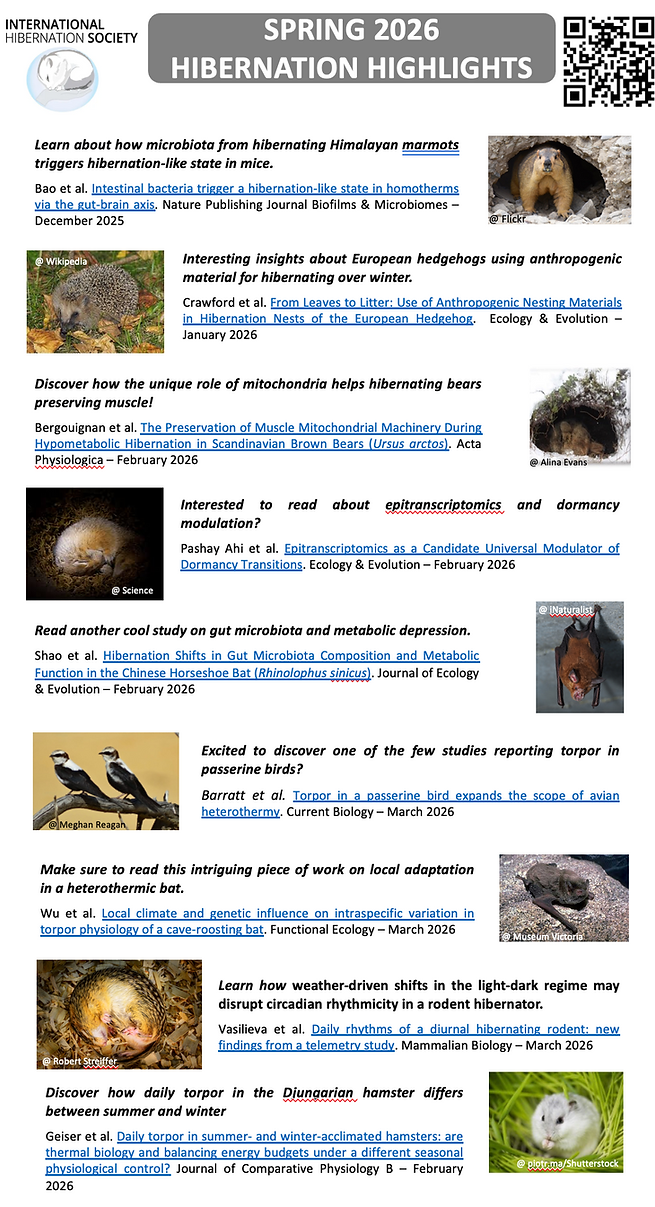 IHS-Highlights_Spring-2026.png