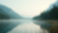 -post-ai-image-8335_edited.jpg
