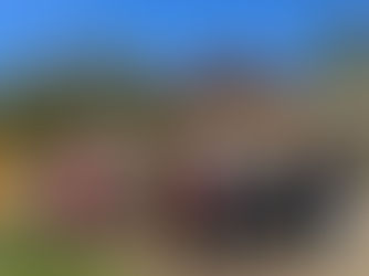 10/29 Nikkei Matsuri Japanese Garden Cleanup