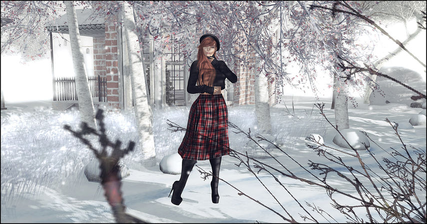Look # 342