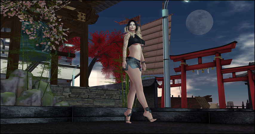 Look #267