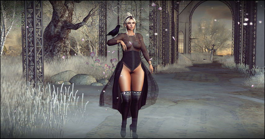 Look # 355