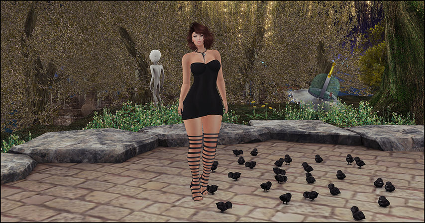 Look #259