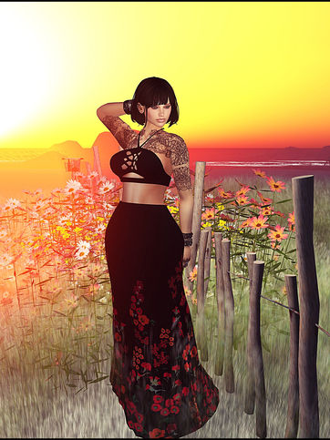 Look #270