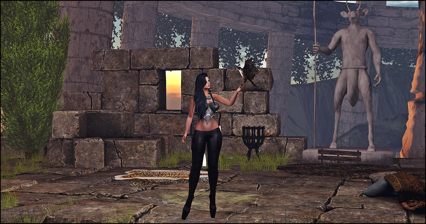 Look #247