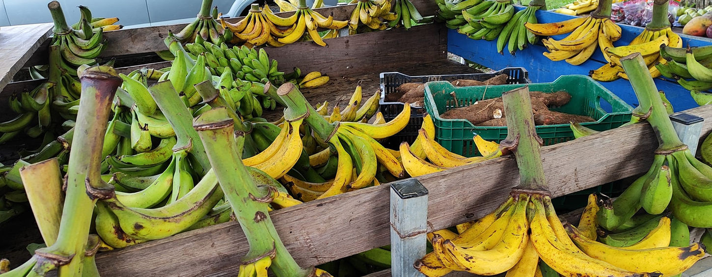 Feria las Esferas Palmar