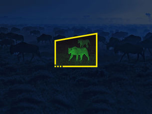 Four areas to shift from protecting data to enabling transformation and growth.
