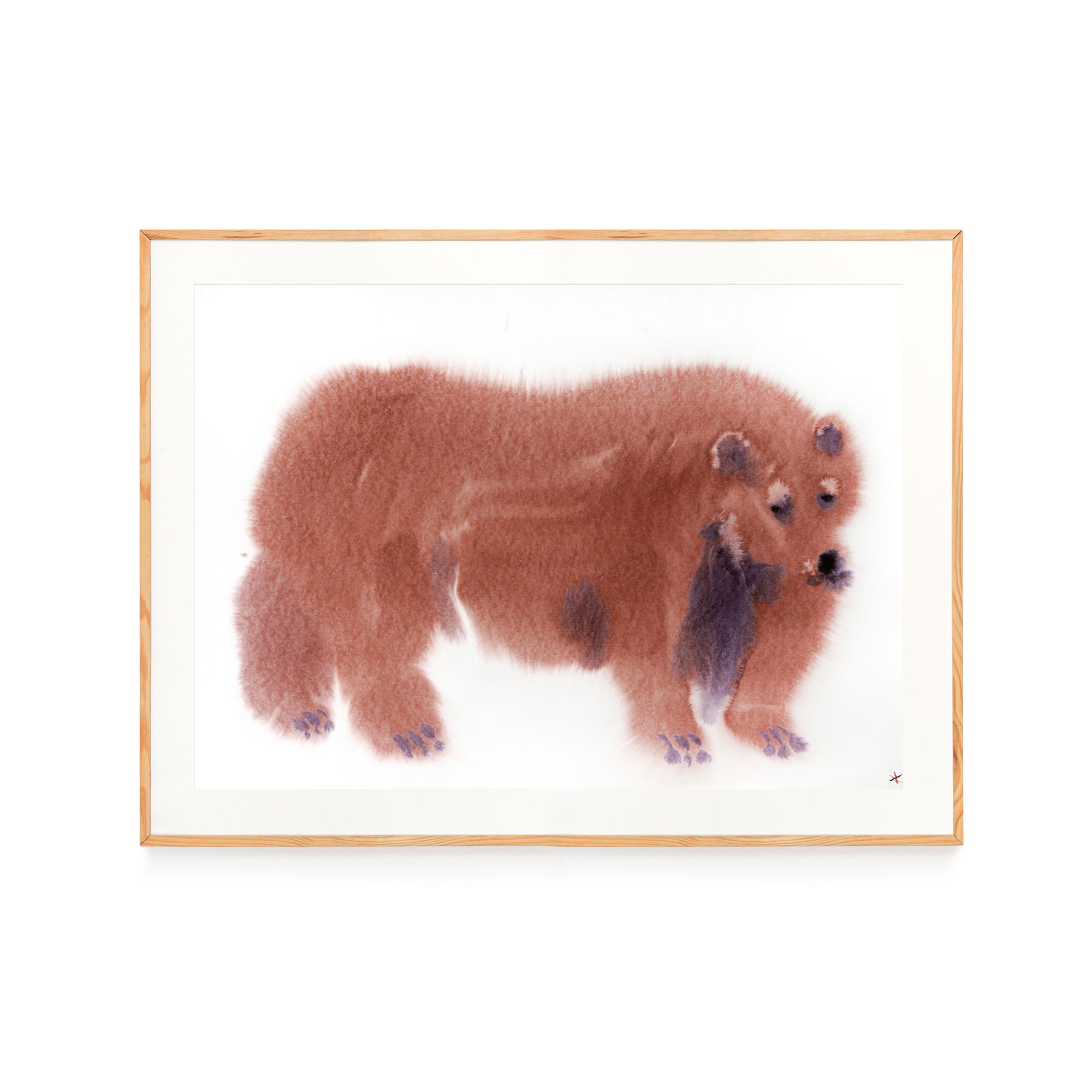 Raw & Wet. Red book. Brown bear