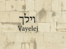 Vayelej
