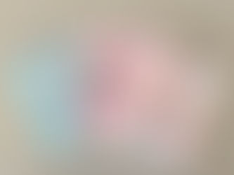 ねこほんクリアファイル