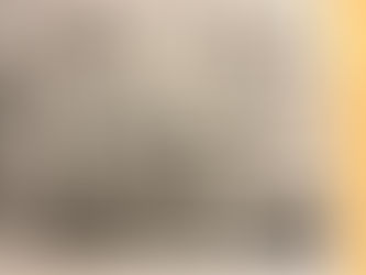 ねことじいちゃん 新聞広告掲載