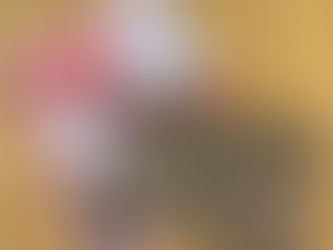 レタスクラブ12月号できました