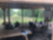 IMG_2273.jpeg