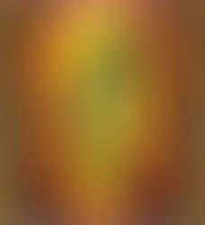 Yttrandefriheten: och varför den spelar roll