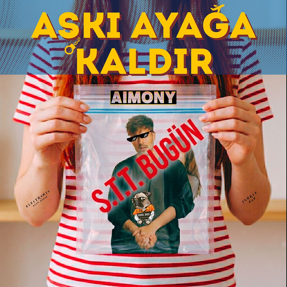 5-Distrokid-aimony-aski-ayaga-kaldir-pop.jpg