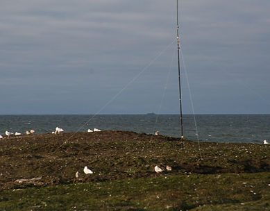 Многодиапазонный траповый вертикал