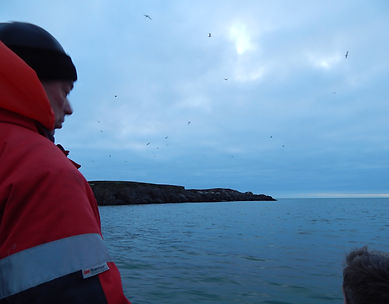 Подходим к острову