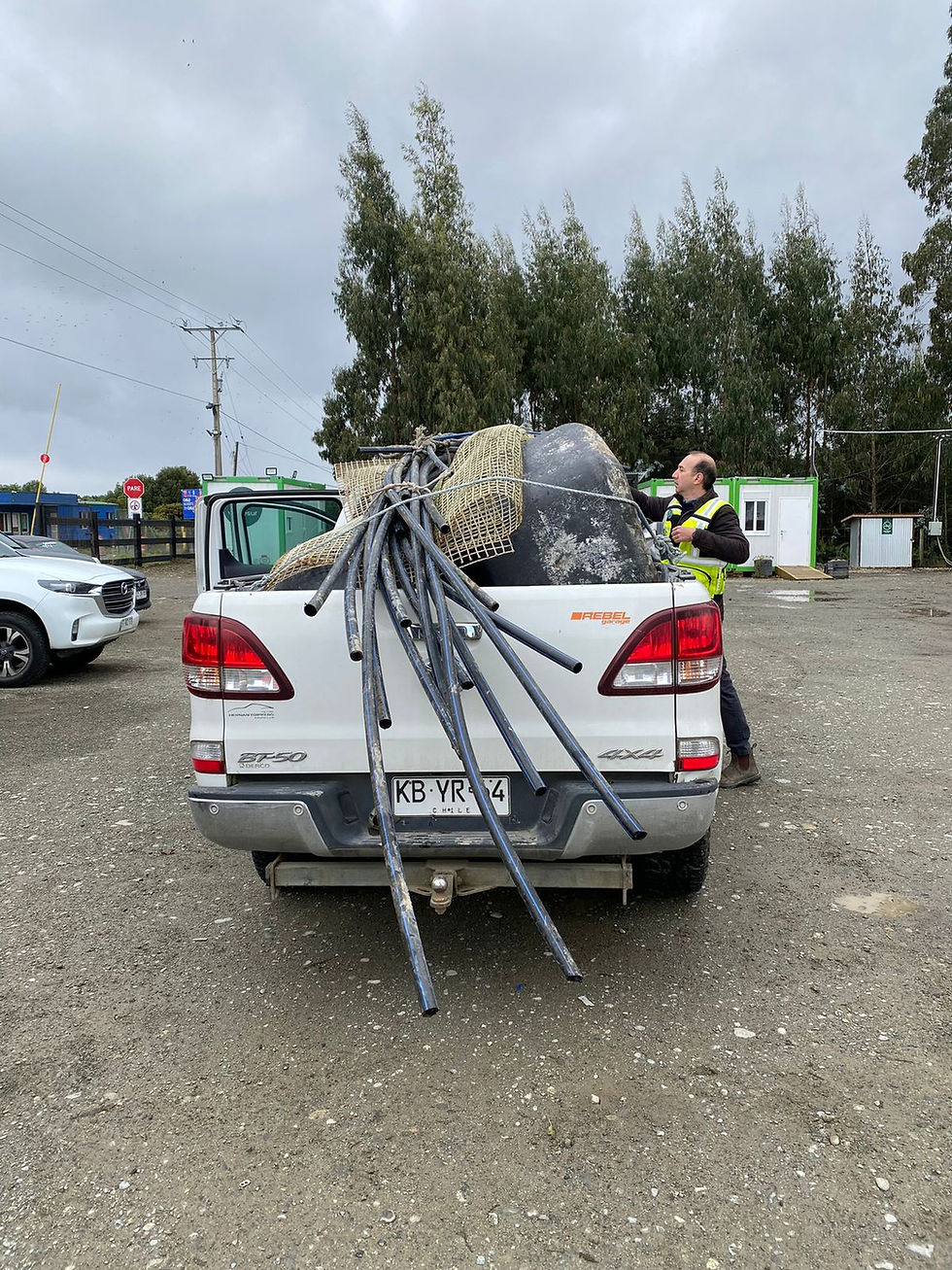 WhatsApp Image 2024-04-29 at 10.46.46