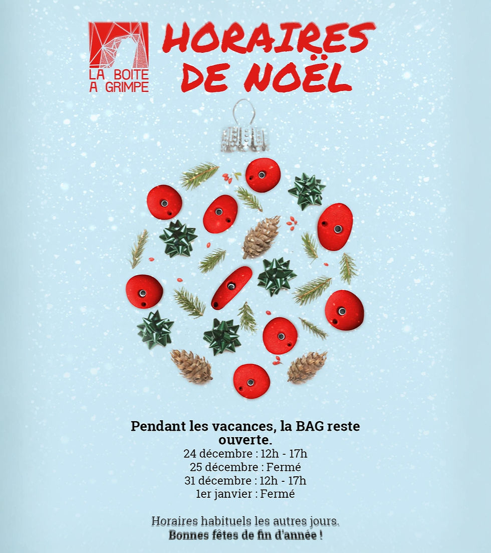 INSTA NOEL 2025_edited.jpg