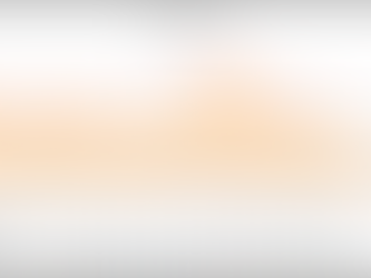 Performance Report 2020