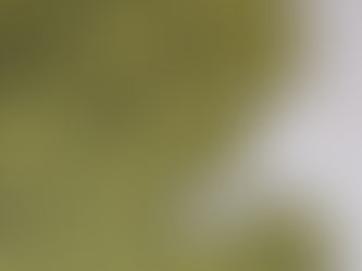 3 facons de personnaliser votre mariage