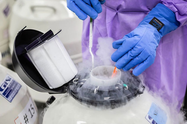 egg freezing.jpeg