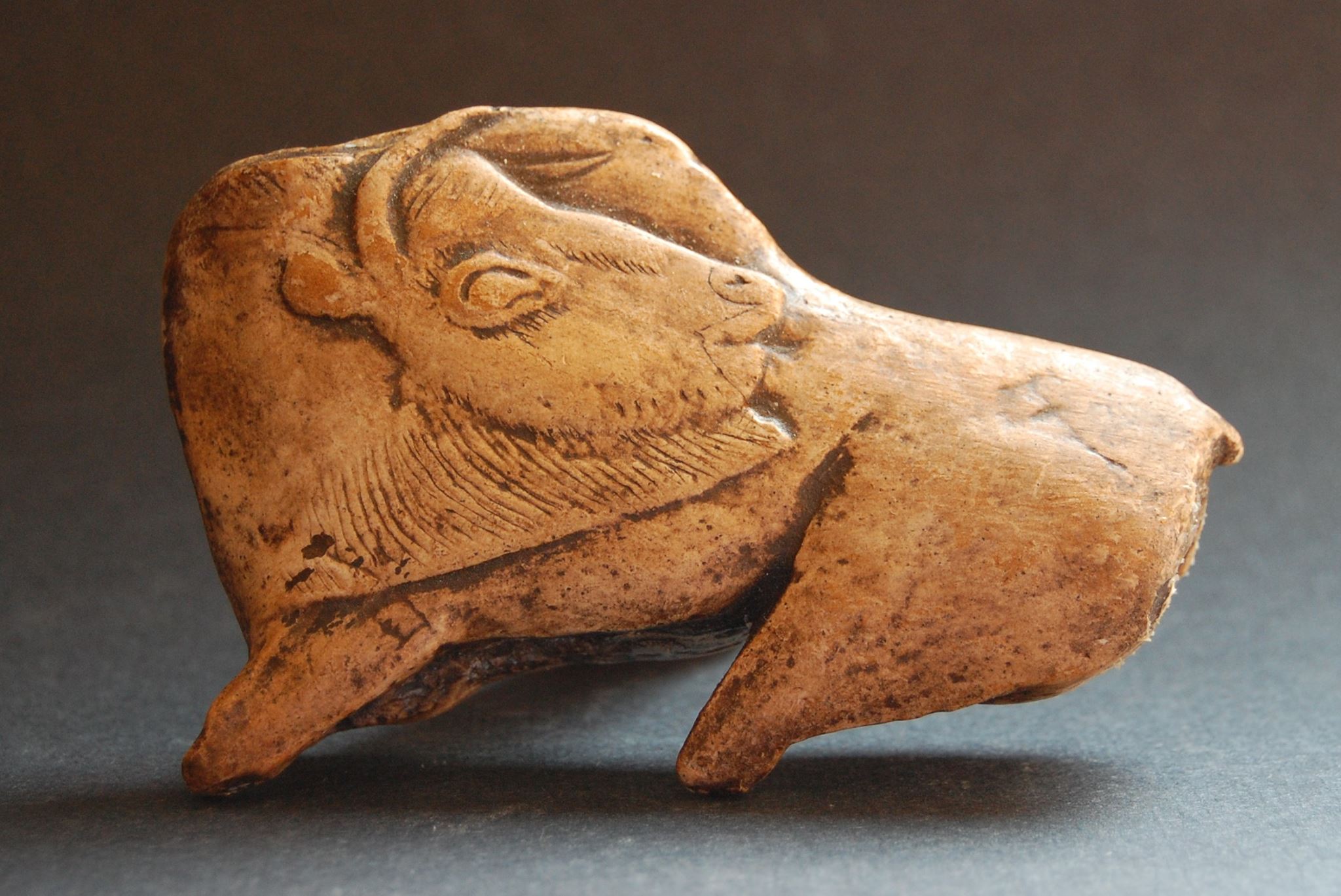Replica of the Licking Bison
