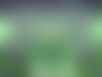 Luck Isn’t a Strategy: Navigating the College Waitlist with Intention 🎓☘️