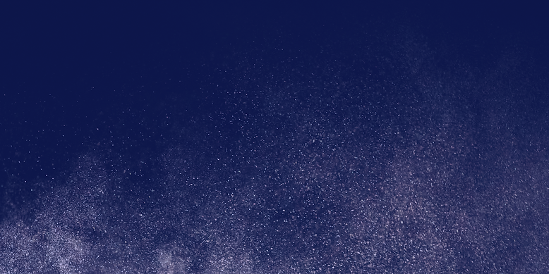 Gymn. Southern Regionals Website Banner.png