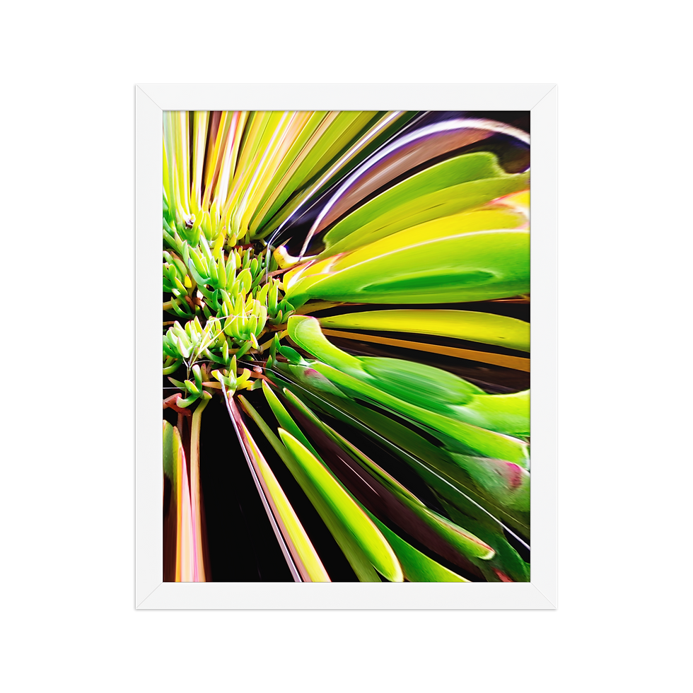 Thumbnail: "NATURALLY" FRAMED PHOTO PAPER ART POSTER