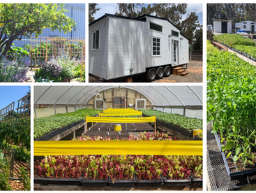 Dig Deep Farms Flourishes, Expanding its Reach with The Food Bank