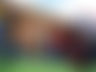 Angry Fish Mural is Complete