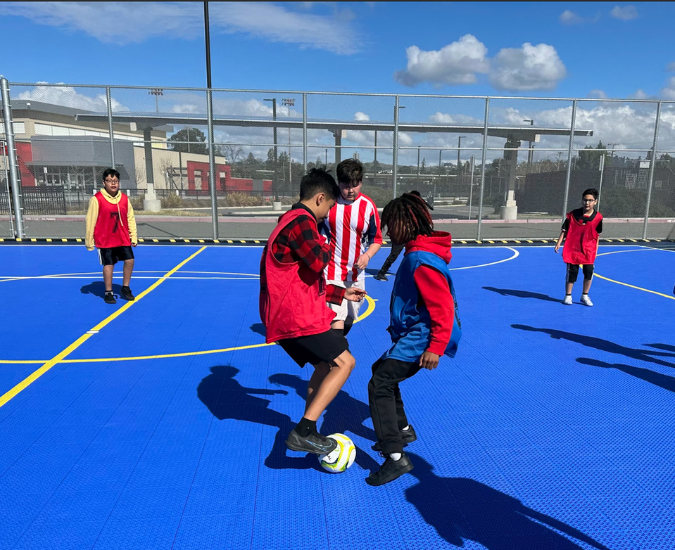 Rec Soccer Participants