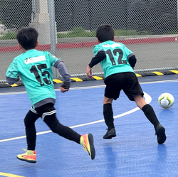 Rec Soccer Participants