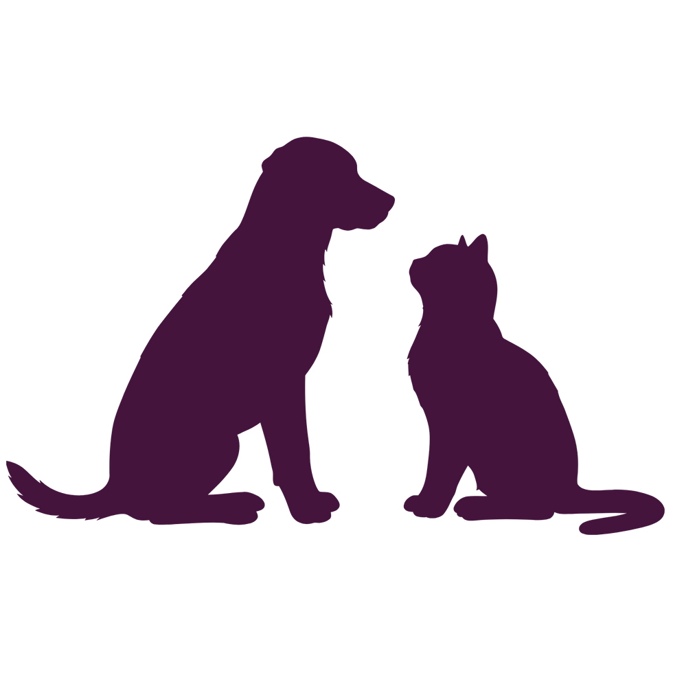 9.png