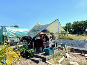 Dig-It Club - Wednesday 22nd June 2022