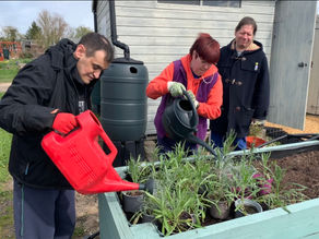 A soft fruit day at Dig-It club - 5th April 2023