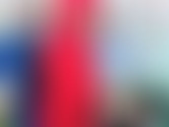 Dig-It blog - seeds - seedlings and preparing the plot!