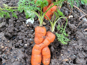 GrowAbility Blog - 14th February 2024