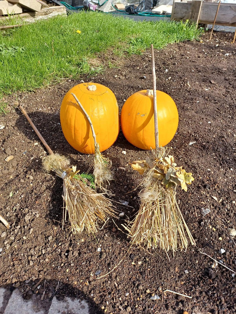 GrowAbility: Wednesday 22nd October 2025
