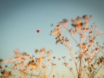 Kongens tale - Del 2