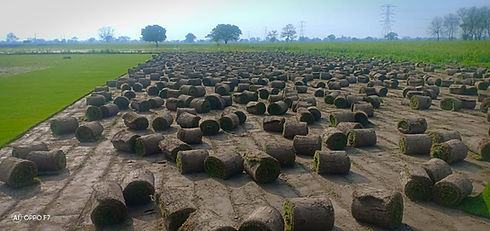 WhatsApp Image 2020-12-27 at 10.28.54 PM