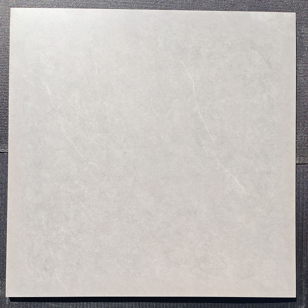 Silver Mist Stone Tile showing light grey textured surface