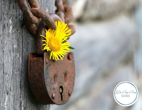 Love and Lessons in the Time of Corona