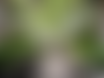 A Healthy Retreat at Hilton Head Health Resort in South Carolina, USA