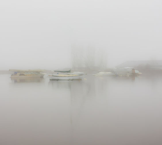 Painterly Impression