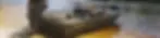 d28396_84e13b6a6abd4ce5a8b19dc5a4ffddc7~mv2.webp