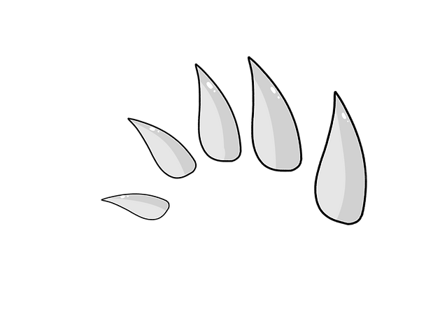 IMG_8401.PNG