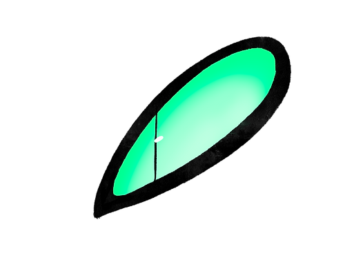 IMG_8394.PNG