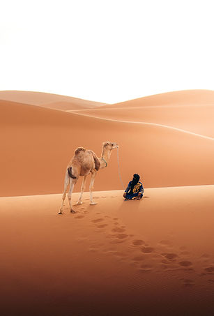 Damiexplores_ Sahara Lumières